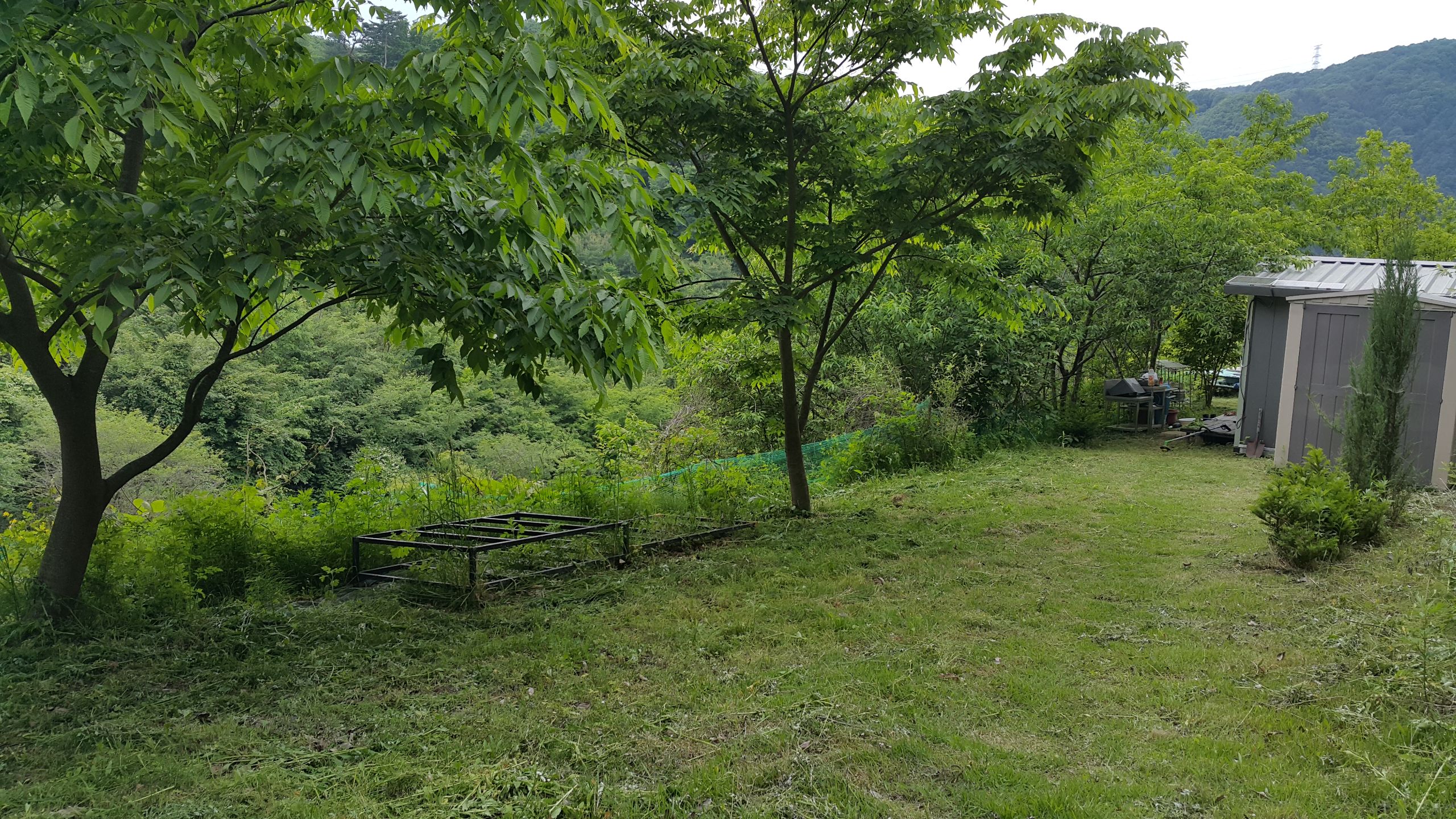 런치카페 전경 